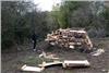 Building The Bonfire On The Day
 © Ron Gough